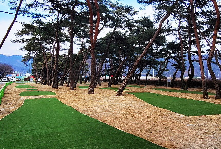 경상북도 문경시 농암 대정파크골프장 소개