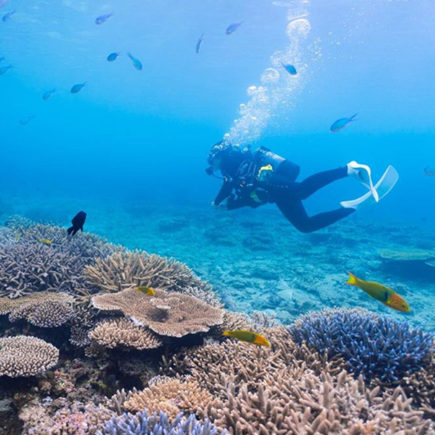 오키나와 리조트 할레쿨라니 오키나와 14