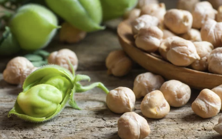 ④ 병아리콩(Chickpeas)