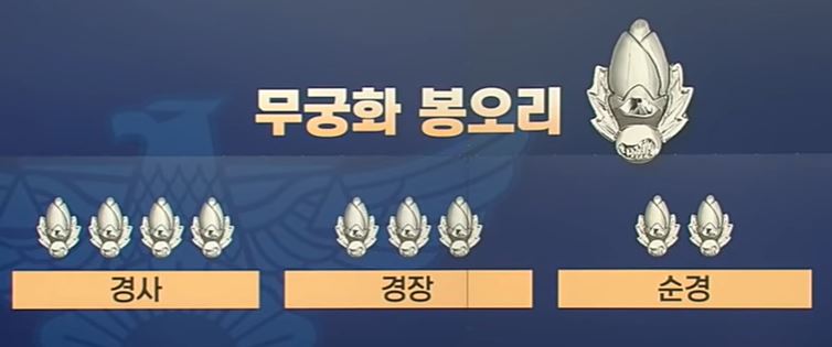 무궁화 봉오리
