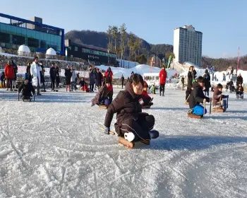 평창송어축제_15