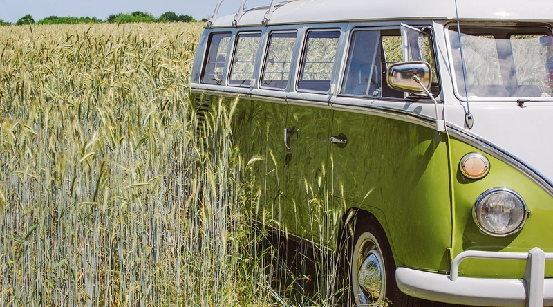 65세 이상 정부지원 혜택과 효과적인 이용 방법