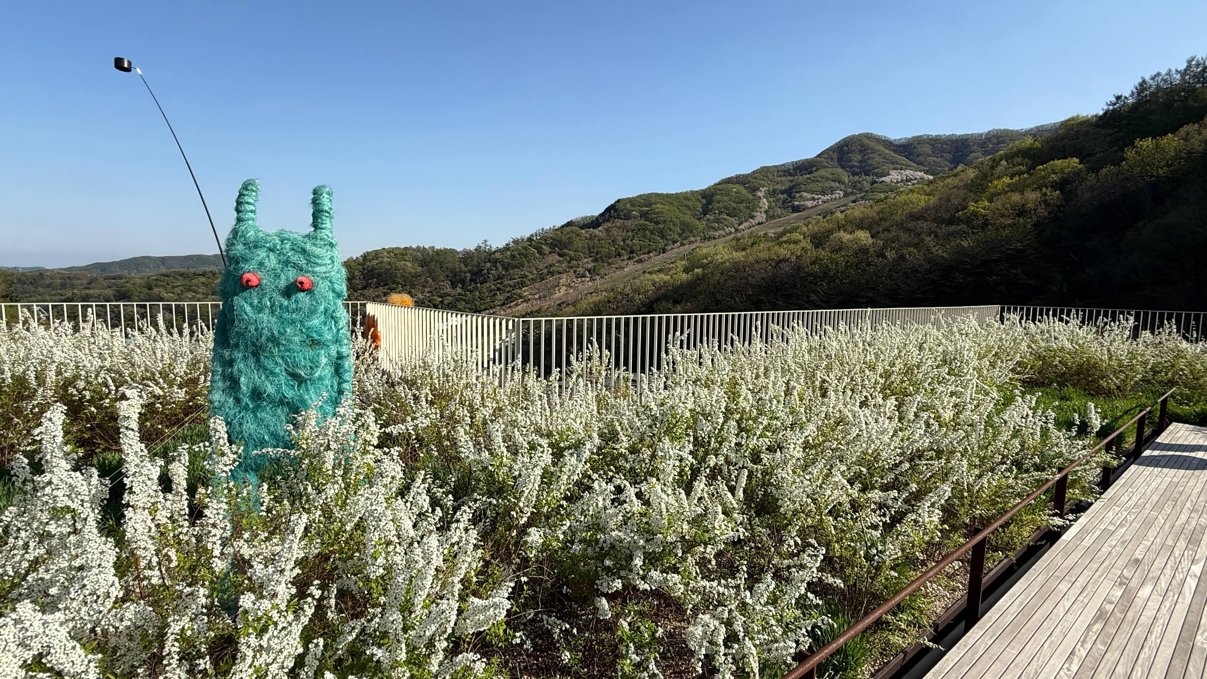 화담채 옥상정원