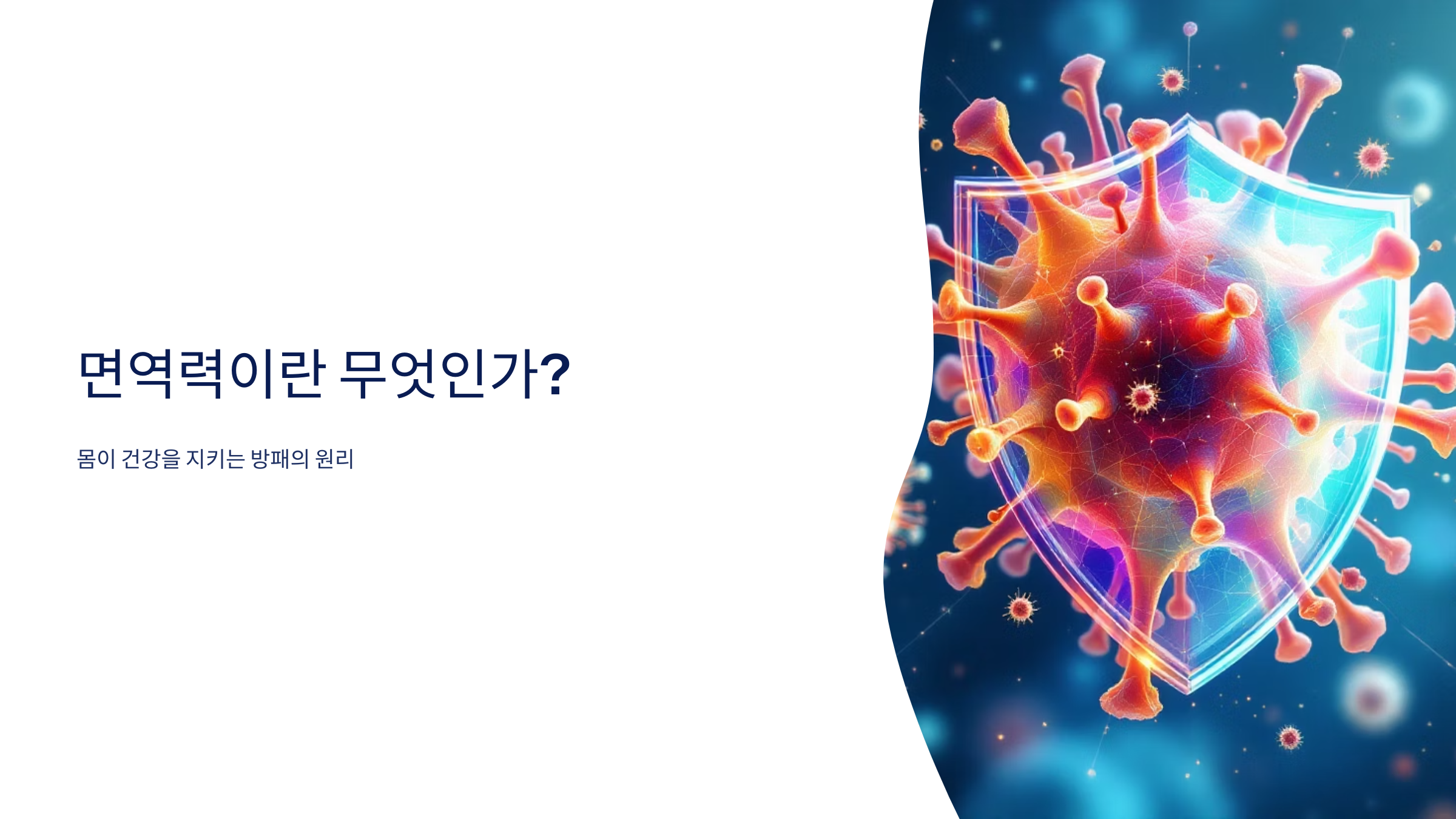 몸이 건강을 지키는 방패의 원리