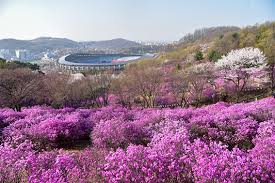 제 26회 천주산 진달래축제 기본일정과 프로그램 소개 류지광 남승민 출연