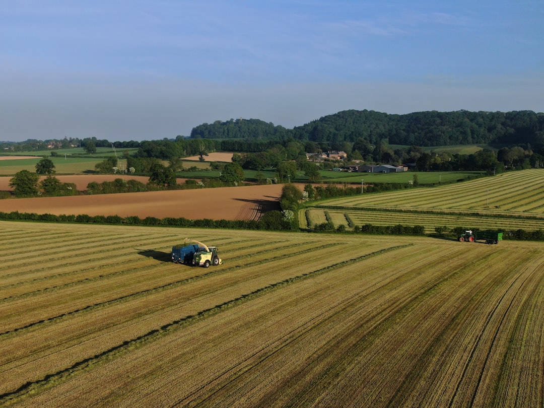 농업 (Agriculture)
