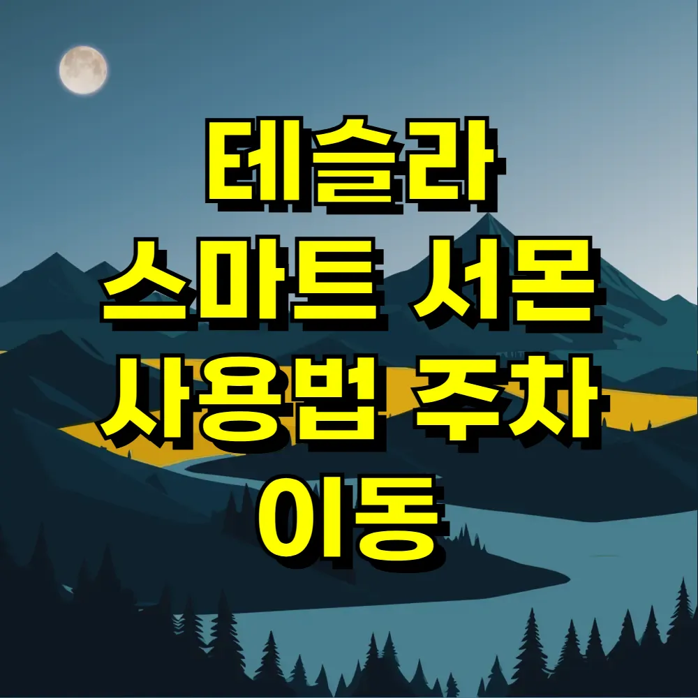 테슬라 스마트 서몬 사용법 주차 이동