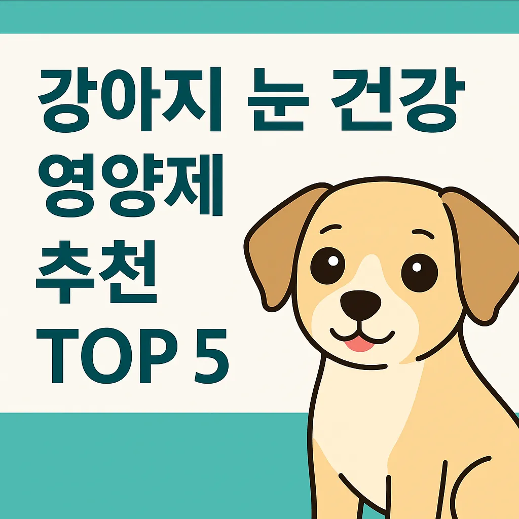 강아지 눈 건강 영양제 추천 TOP5