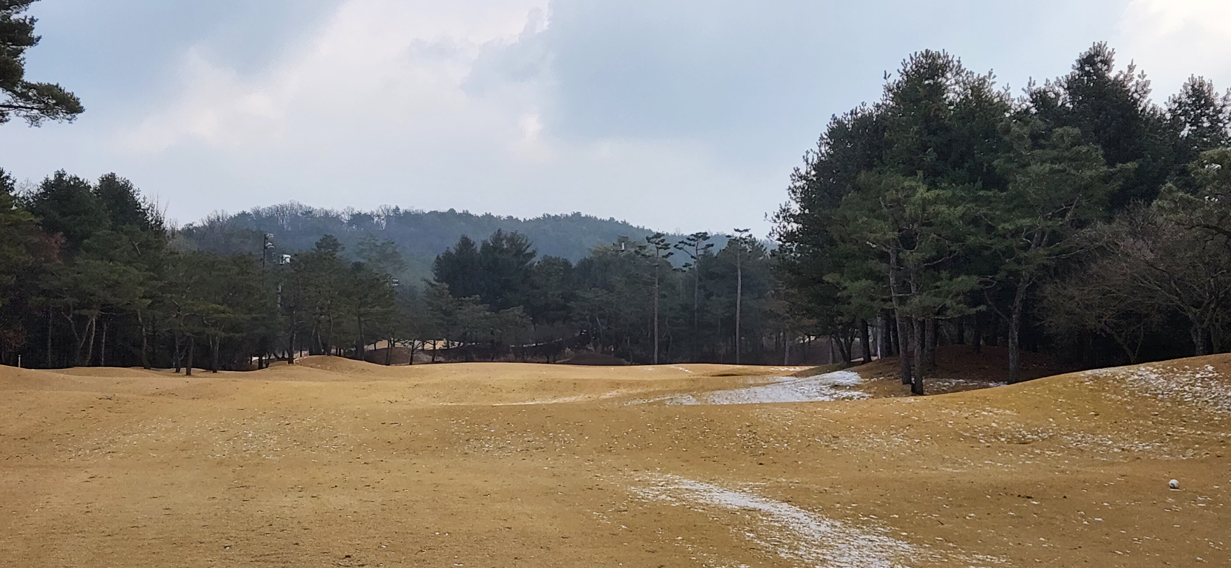 솔모로cc