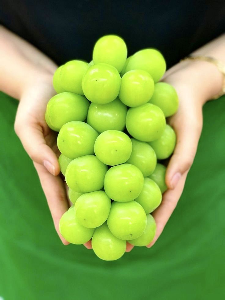 샤인머스켓 효능