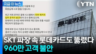 롯데카드 해킹 사건 발생
