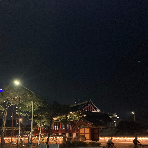 경주 여행 야경 절 사진