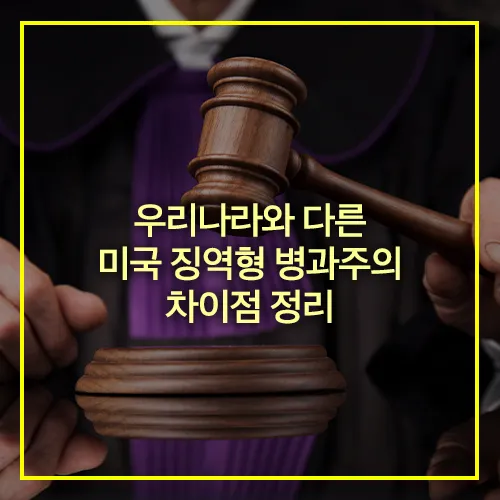 미국 징역형 병과주의