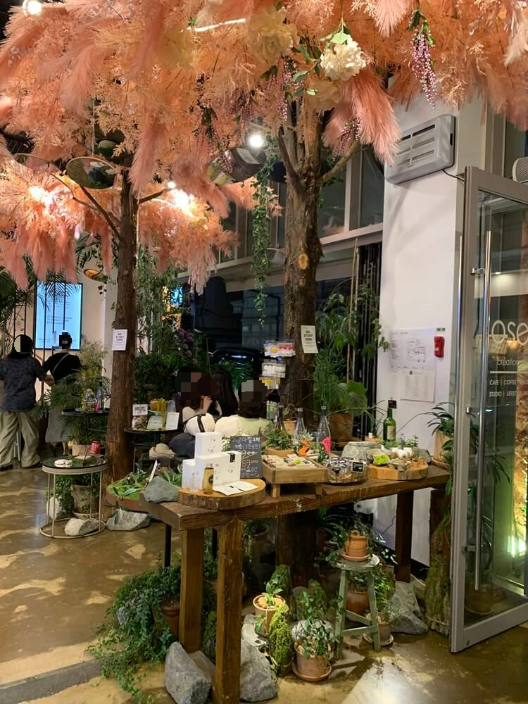 입구쪽 푸드그라피 전시와 식물