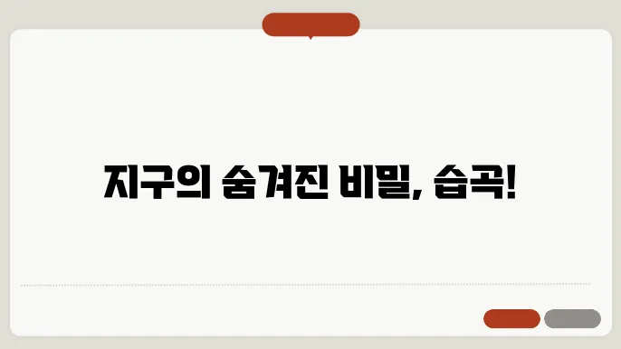 습곡