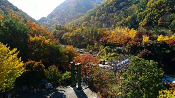 장령산자연휴양림