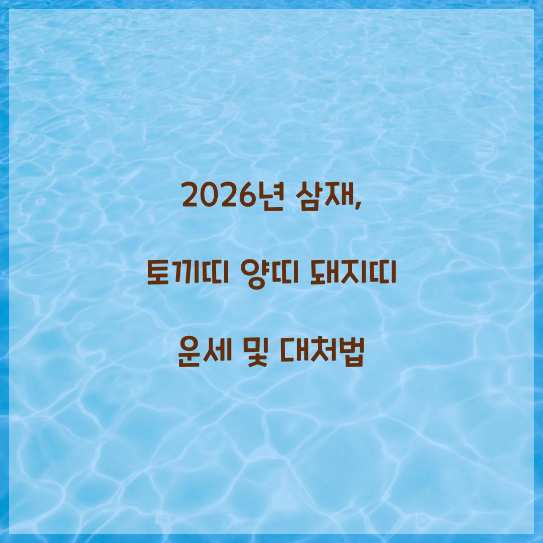 2026년 삼재