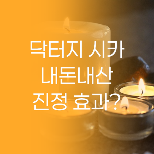 닥터지 시카 크림 내돈내산 솔직 후기