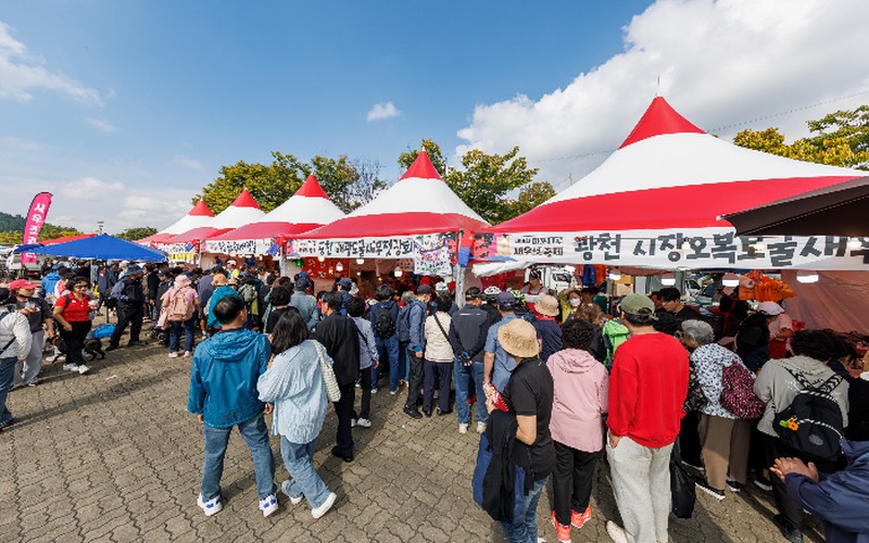 마포나루 새우젓축제 2026 일정|새우젓 장터 위치와 날짜별 공연 라인업