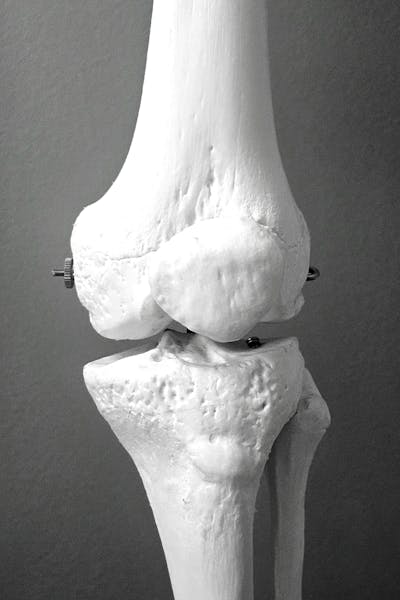 결핍되면 생기는 문제