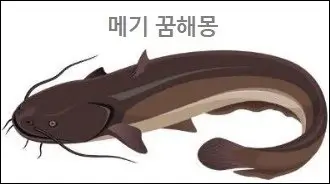 메기 꿈해몽
