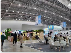 2025 코리아 마이스 엑스포 참관 꿀팁 참가신청