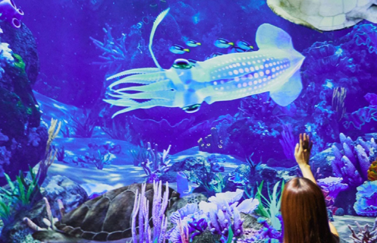 뮤지엄 딥다이브