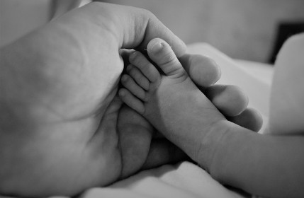 아이돌보미 국가자격증 양성교육기관