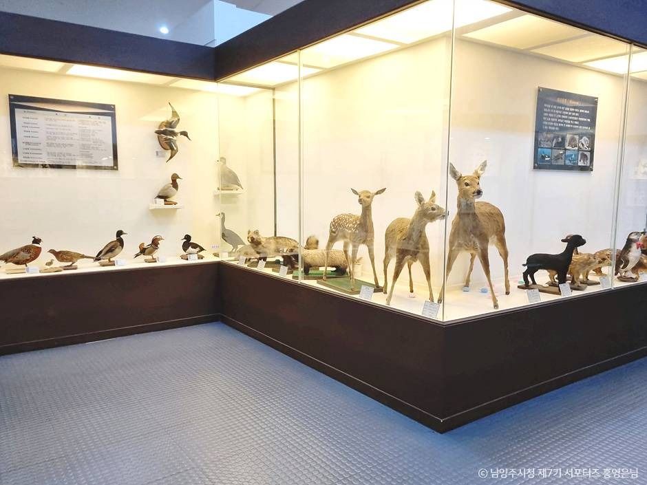 남양주 가볼만한곳 베스트10