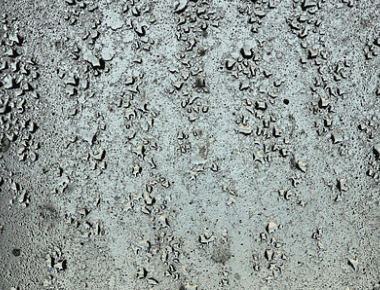 비오는날 자동차 습기 제거 방법