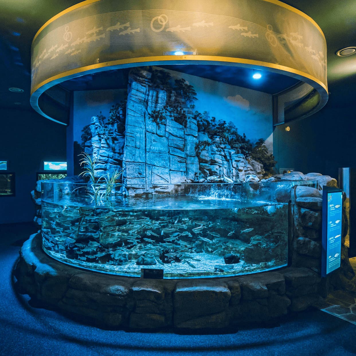 단양 다누리아쿠아리움