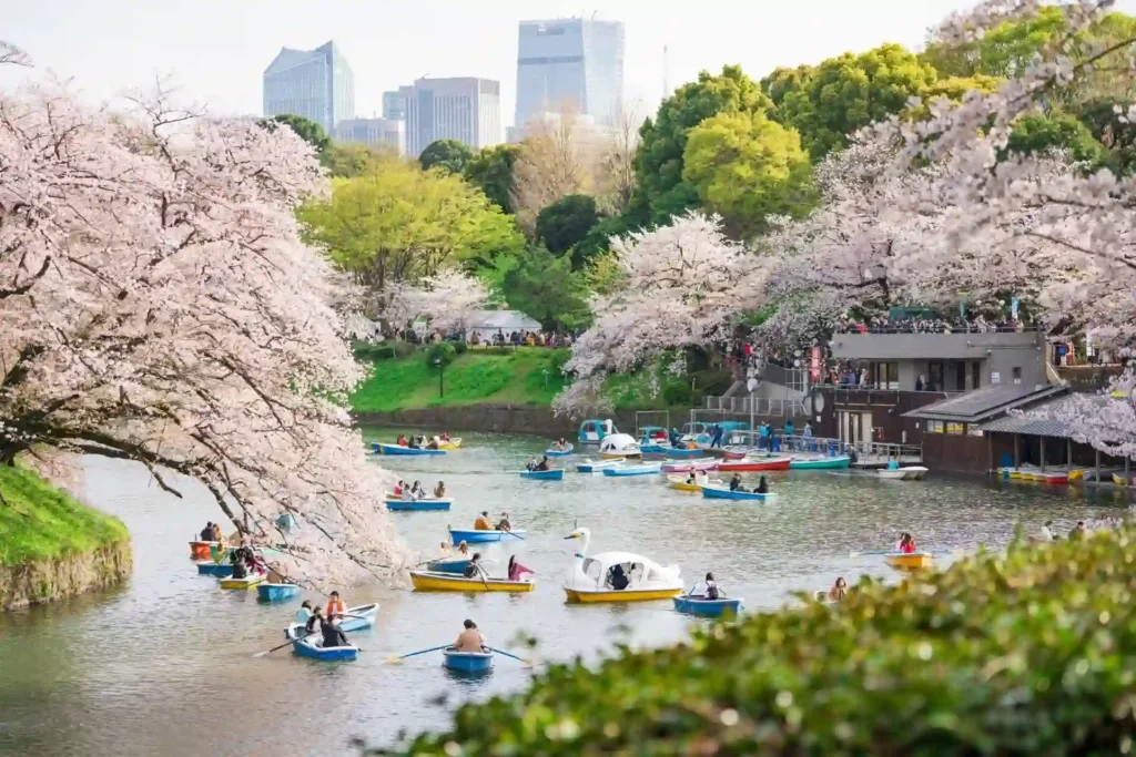 치도리가후치 녹도 (千鳥ヶ淵緑道)