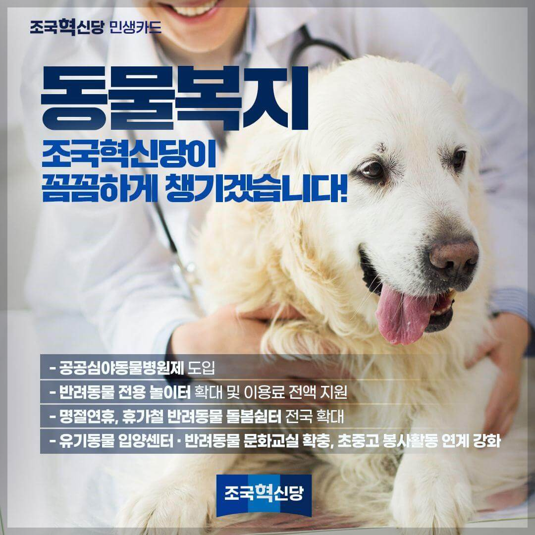 조국혁신당 민생카드 9대 분야 정책 공약, 1호 공약, 토익 등 자격증 유효 기간 5년으로 연장