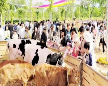 함평 나비축제_20