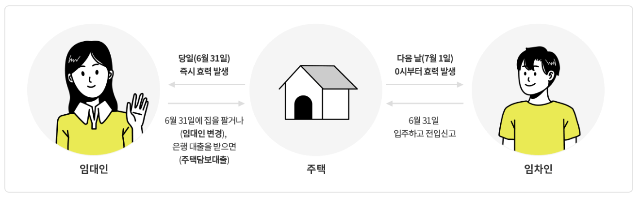 전세사기 수법과 특별법 시행