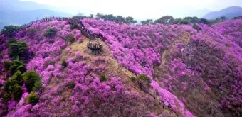 경기도 봄 여행지 추천 10곳 완벽 코스 가이드북_15