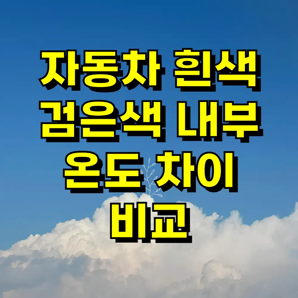 자동차 흰색 검은색 내부 온도 차이 비교