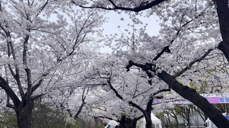 여의도 운중로