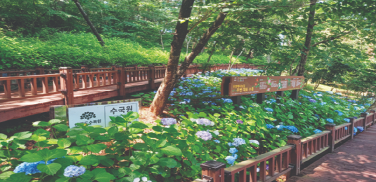 태안 안면도 수목원