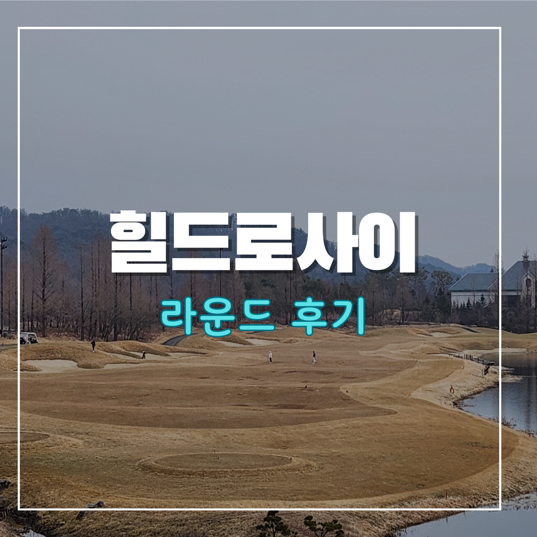 힐드로사이cc