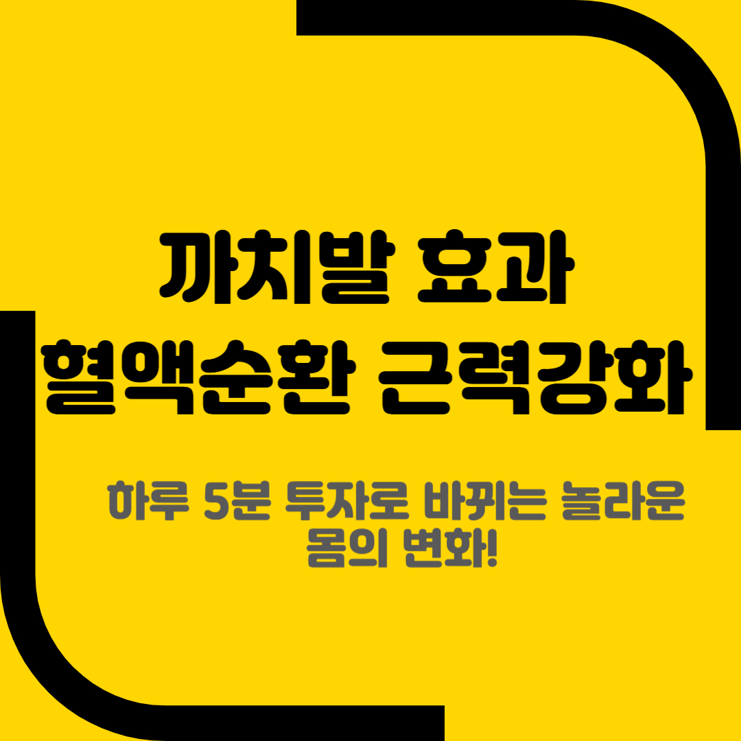 까치발 효과 혈액순환 근력강화