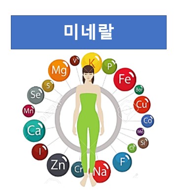 미네랄주요성분