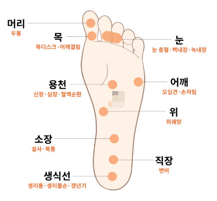 발바닥 파스 붙이는 위치 알고 붙이니 더 편해지더라
