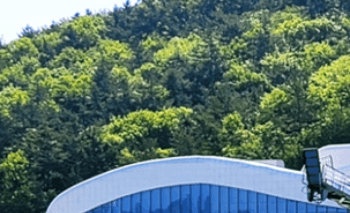 진도에서_추자도_가는_방법