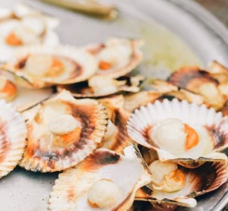 12월 제철 해산물