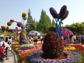 고양 꽃박람회 입장료 사전예약 가는길_10