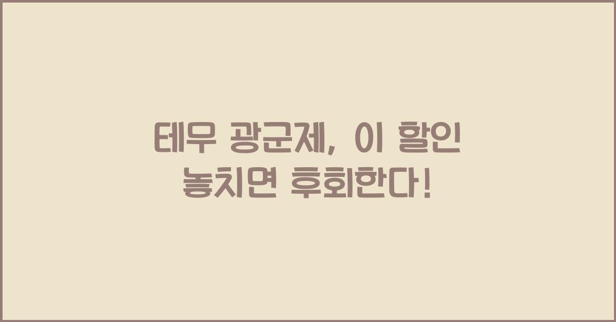 테무 광군제