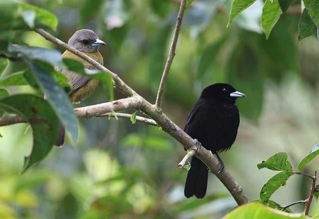 기후 위기 시대, 생물다양성이 해답이다|5월 22일의 의미와 세계의 노력