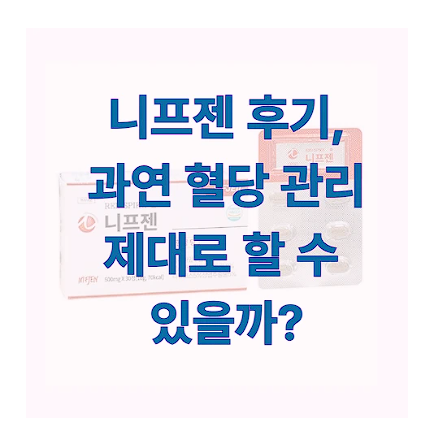 니프젠에 관한 글 보러 가기 링크 사진