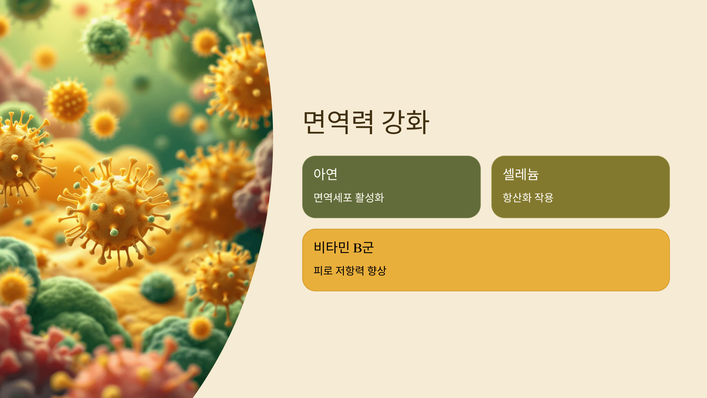 기장 사진입니다.